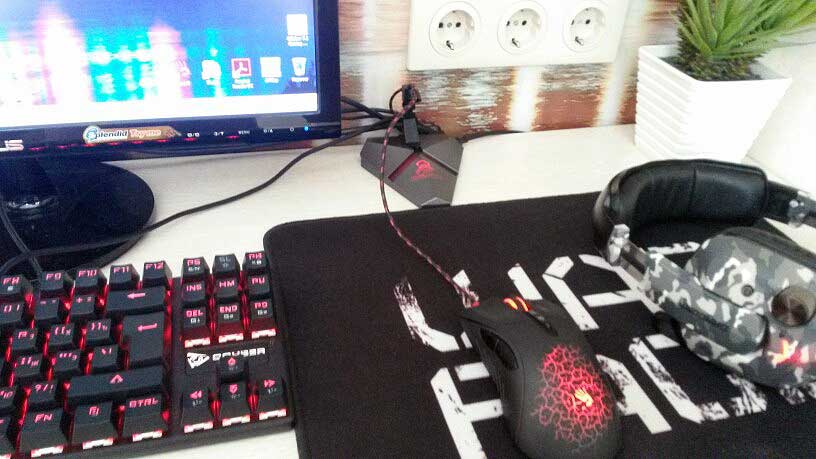 Scorpion Mouse Bungee & USB Hub