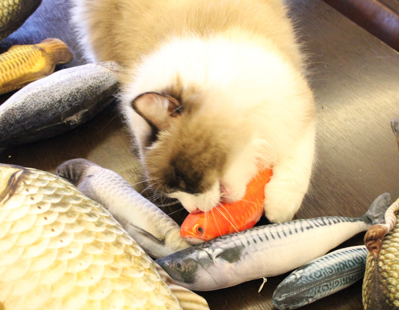 Realistic Fish Cat Plushies With Catmint (Set of 6)