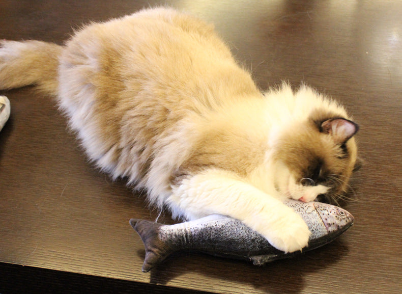 Realistic Fish Cat Plushies With Catmint (Set of 6)