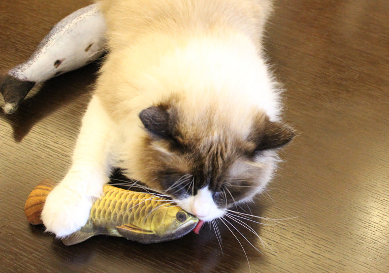 Realistic Fish Cat Plushies With Catmint (Set of 6)