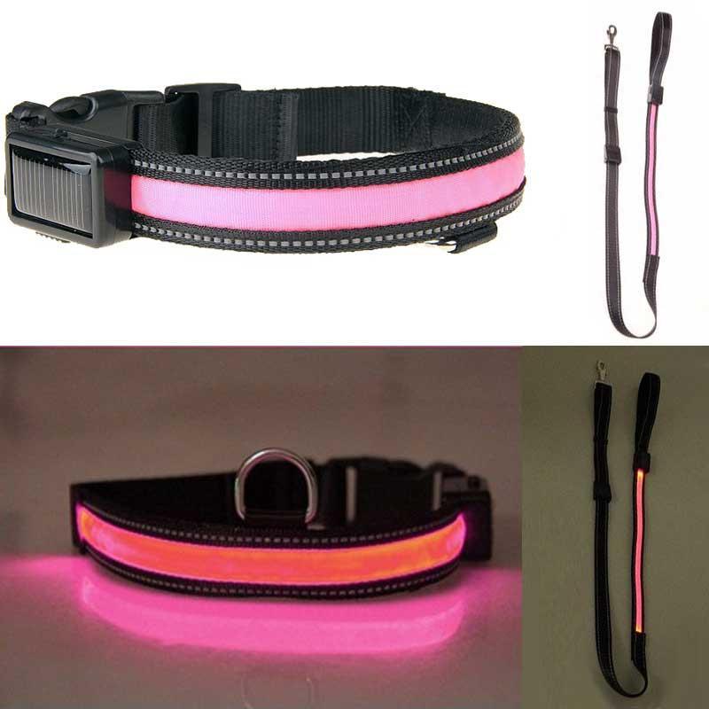 Fanduco Petwear Collar / S / Pink Solar Powered LED Pet Collar