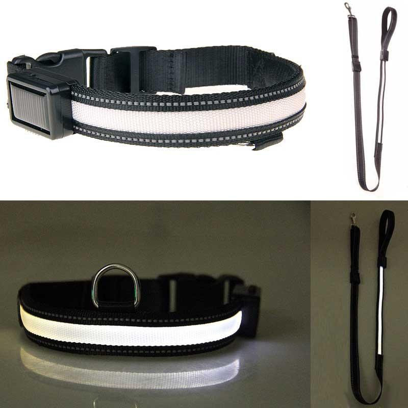Fanduco Petwear Collar / S / White Solar Powered LED Pet Collar