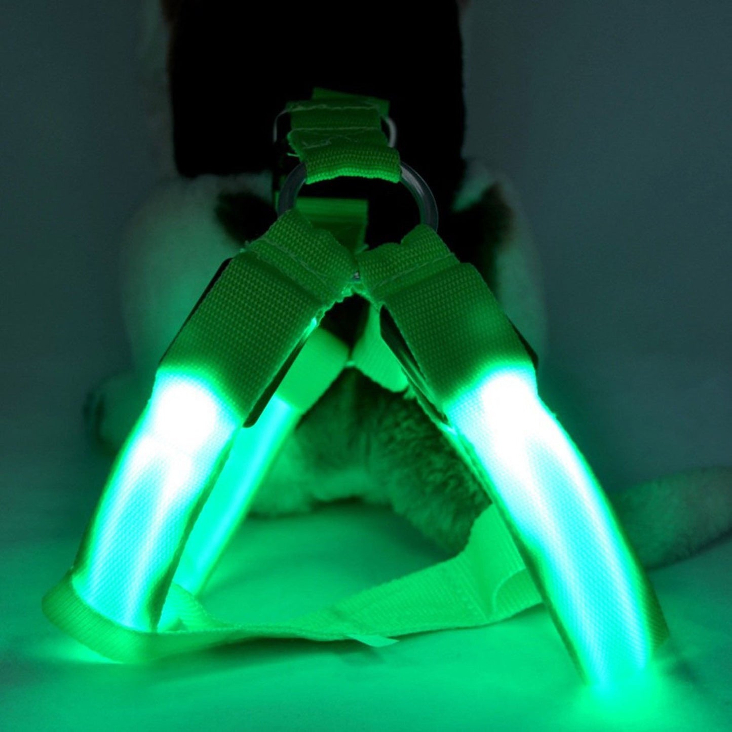Fanduco Petwear Green / S USB Rechargeable LED Pet Harness