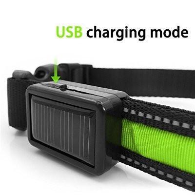 Fanduco Petwear Solar Powered LED Pet Collar