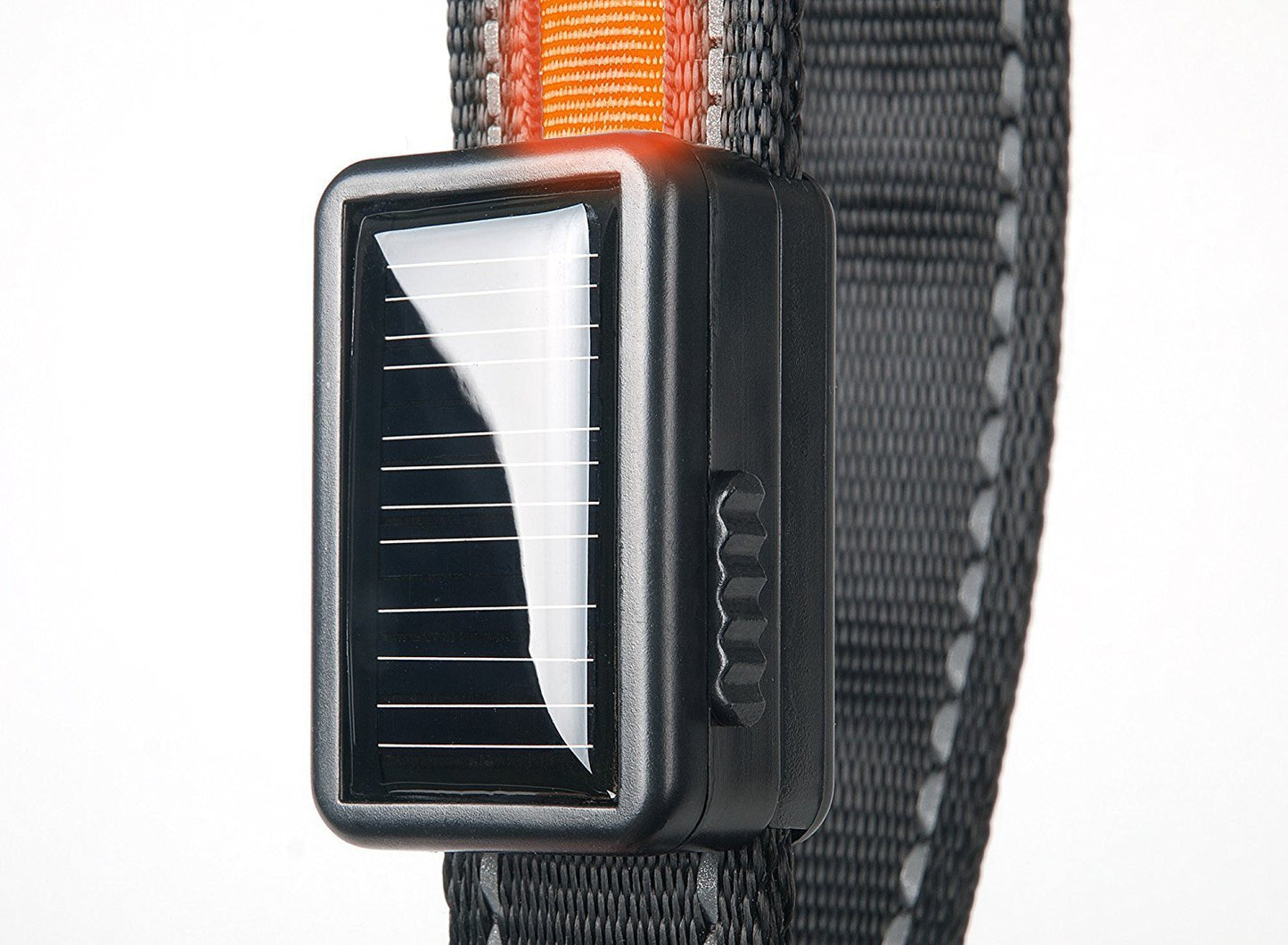 Fanduco Petwear Solar Powered LED Pet Collar