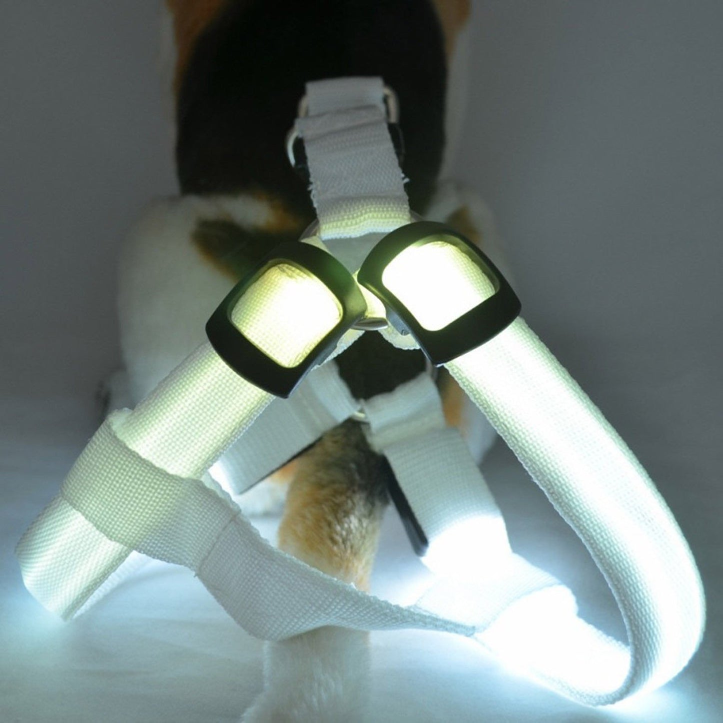 Fanduco Petwear White / S USB Rechargeable LED Pet Harness