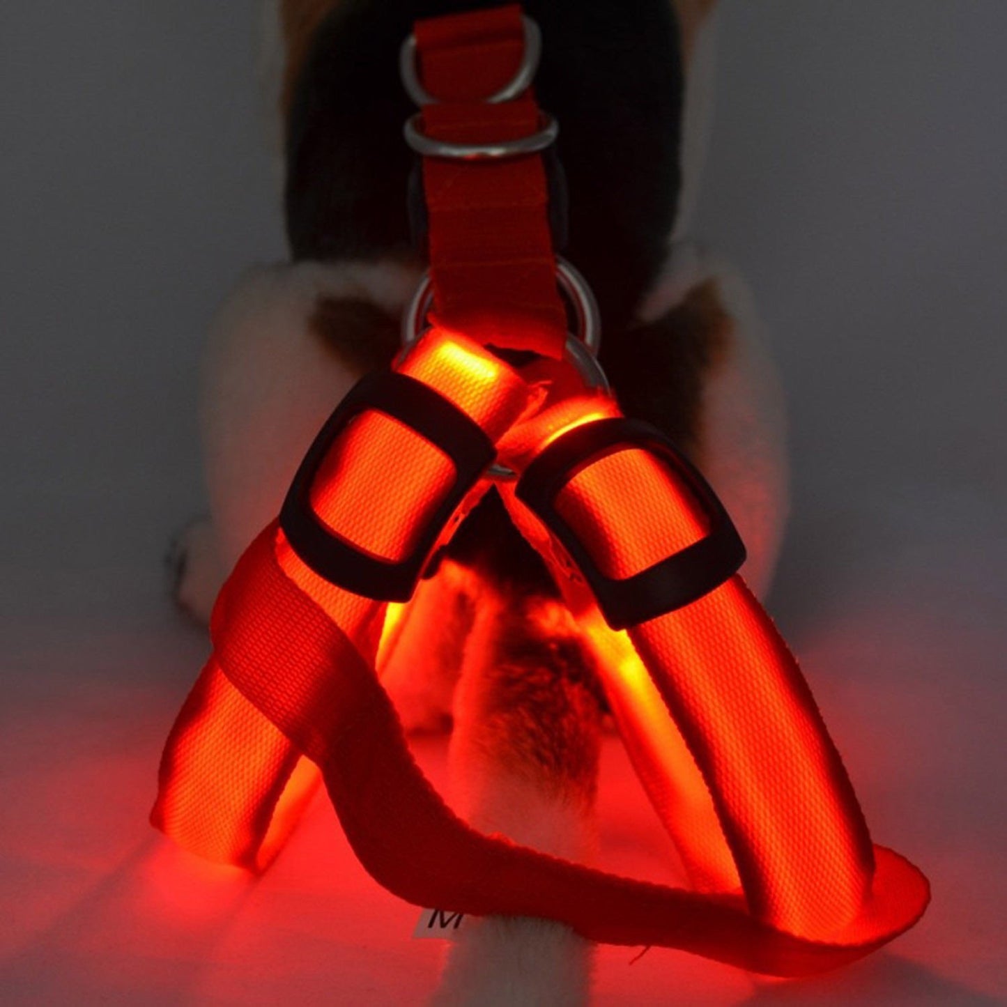 Fanduco Petwear Yellow / S USB Rechargeable LED Pet Harness