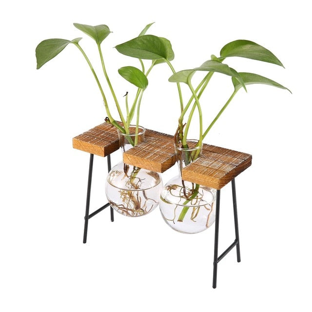 Wooden Lab Vases