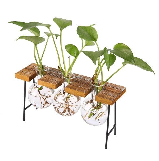 Wooden Lab Vases