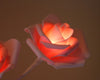Rose Bush Lamp