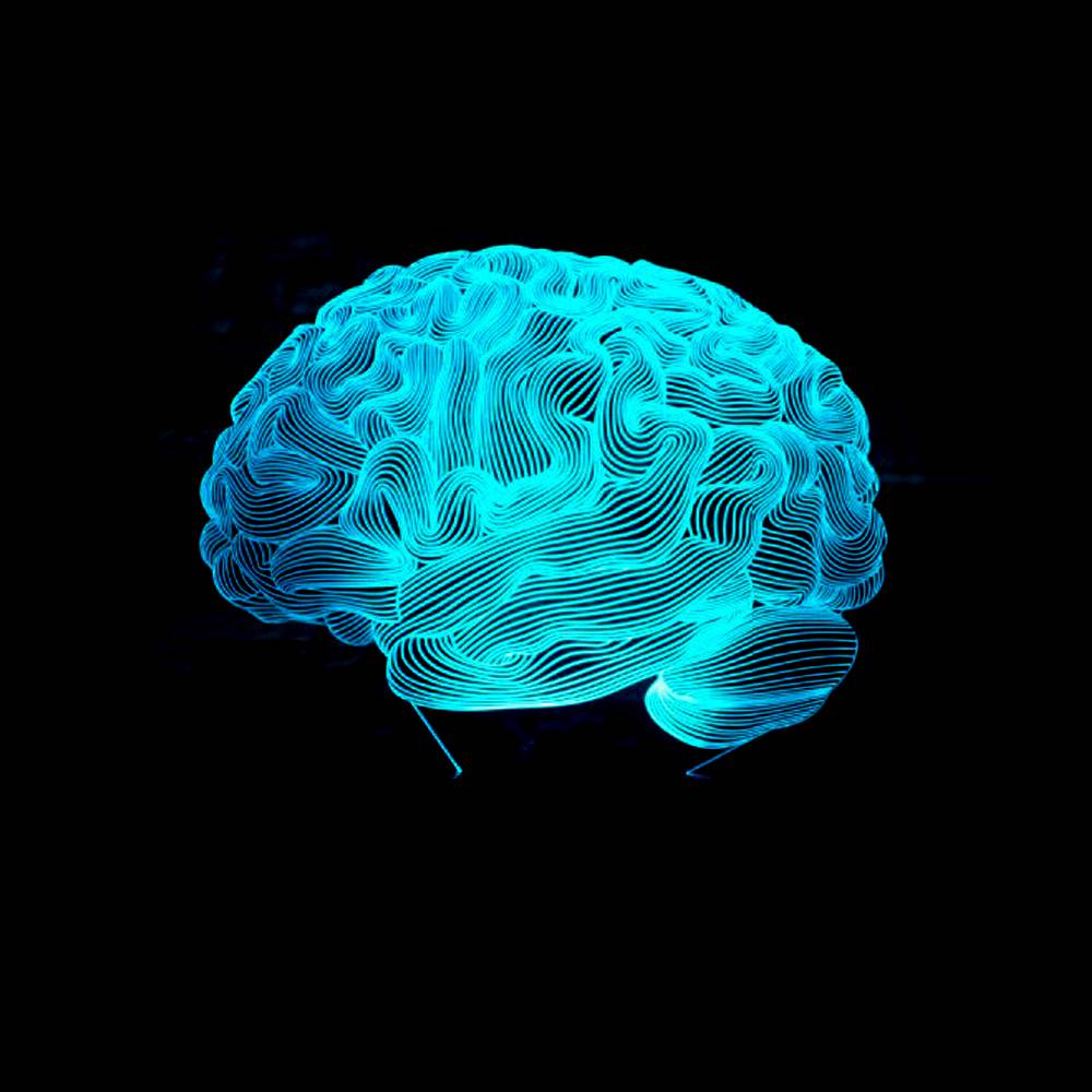3D Brain Hologram Lamp