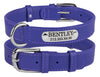Fanduco Dog Collars Purple / S / Yes Genuine Italian Leather Pet Collars w/ Personalized Nameplates