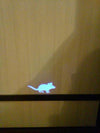 Fanduco Pet Toys Fun LED Laser Mouse Pointer