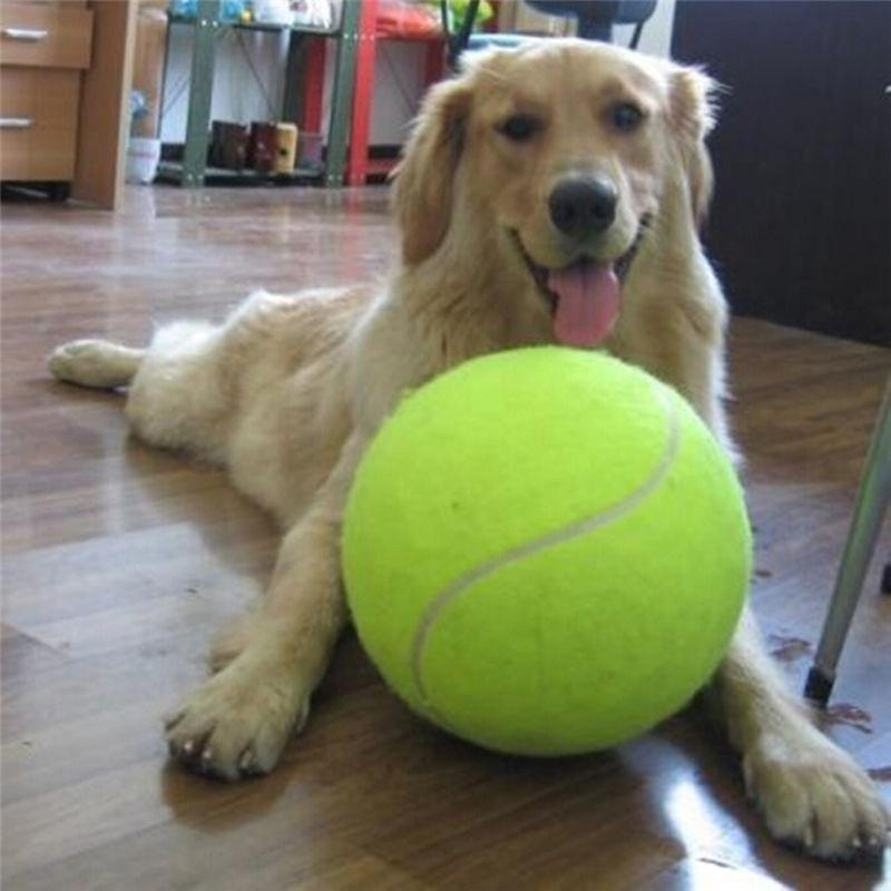 Fanduco Pet Toys The Ultimate Tennis Ball
