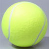 Fanduco Pet Toys The Ultimate Tennis Ball