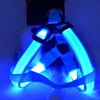 Fanduco Petwear Blue / S USB Rechargeable LED Pet Harness