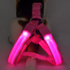 Fanduco Petwear Pink / S USB Rechargeable LED Pet Harness