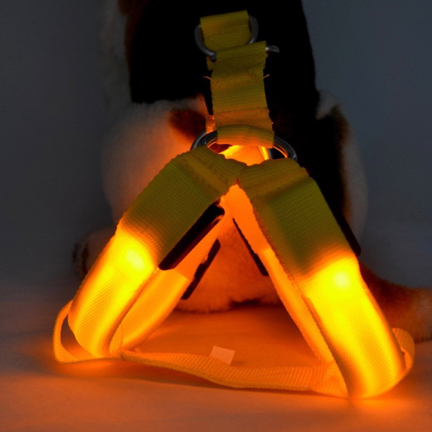 Fanduco Petwear USB Rechargeable LED Pet Harness